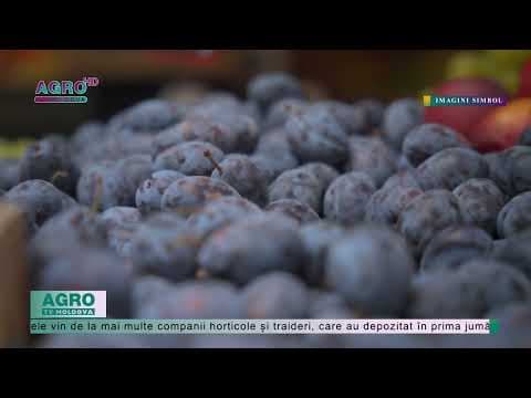 Prețul prunelor în Moldova, mai mic decât se așteptau fermierii