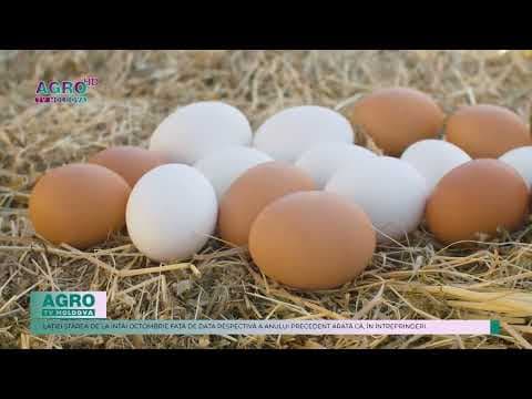 Producția agricolă din gospodăriile moldovenești este tot mai redusă