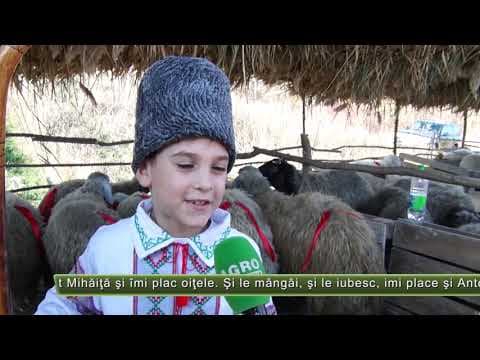 AGRO TV News - Retrospectiva Săptămânii 16 noiembrie 2019