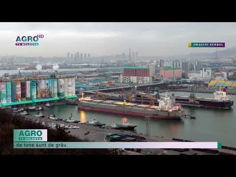Prețul grâului scade din cauza exporturilor mari din Ucraina și Rusia