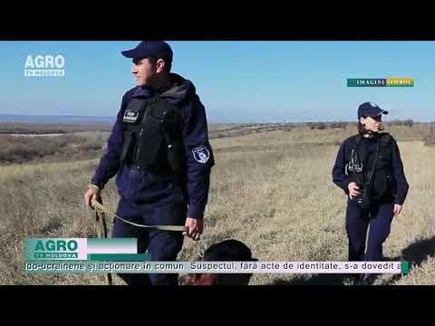 Un minor a încercat să treacă ilegal frontiera de stat