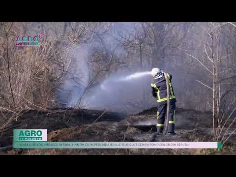 Pompierii moldoveni continuă să ajute Republica Elenă în combaterea incendiilor forestiere