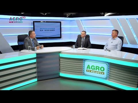 Producția de miere și posibilitățile de comercializare