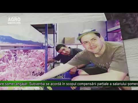 AGRO TV News - 07. 08. 2019