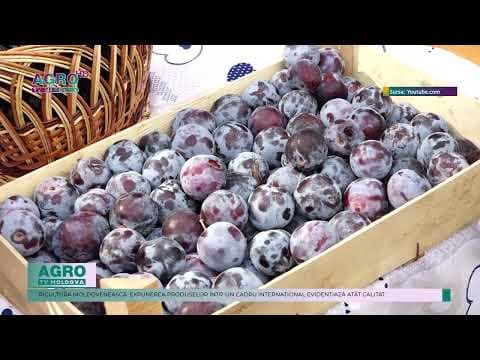 Moldova la SIAL Paris 2024: Oportunități pentru agricultură