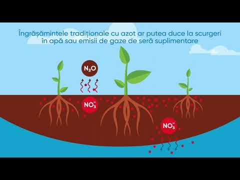 Corteva pune astăzi azotul la îndemâna plantelor printr-un produs UNIC