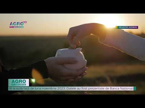 Moldovenii au luat credite în valoare de cinci milioane de lei, în decembrie 2023
