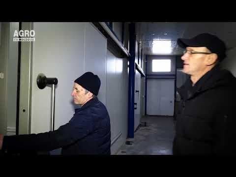 Credite avantajoase pentru modernizarea livezilor