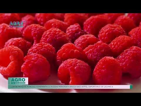 Exporturile de legume și fructe au înregistrat o creștere de 24,3 la sută