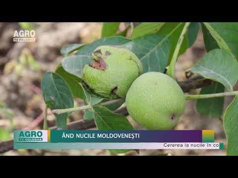 Cum se vând nucile moldovenești