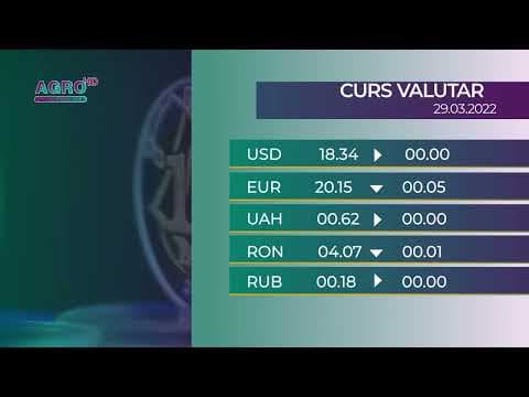 BNM: Cursul valutar pentru marți, 29 martie