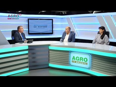 Antreprenori străini stabiliți în Moldova