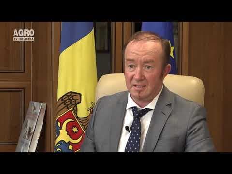 Baștina din 08.08.2021
