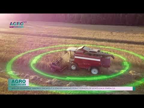Agricultura viitorului: Cum Inteligența Artificială transformă fermele în focare de inovație