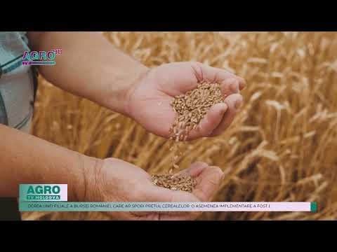 Fermierii insistă asupra stării excepționale în agricultură. „Noi acum suntem șocați, suntem în panică”, afirmă aceștia