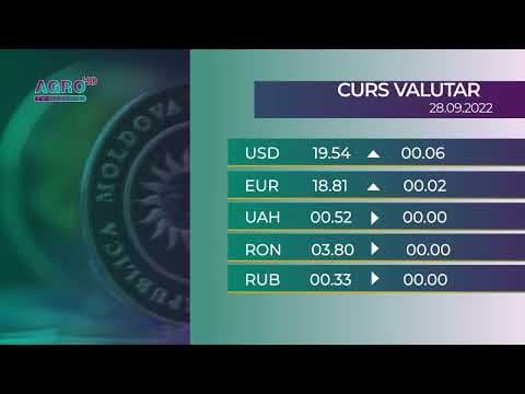 BNM: Cursul valutar pentru miercuri, 28 septembrie