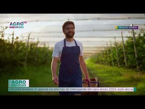 Fermierii din Republica Moldova se află într-o criză fără precedent, iar sprijinul din partea statului este insuficient