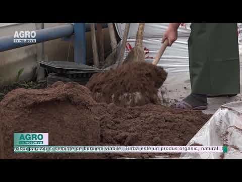 Luna martie – perioada optimă pentru producerea răsadului