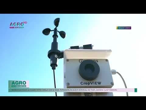 Serviciul Hidrometeorologic de Stat a emis un nou cod galben de caniculă