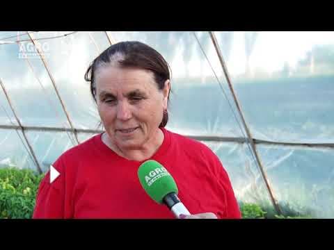 Baștina din 21.07.2019