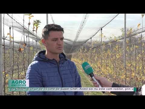 O livadă superintensivă poate da 50 de tone de mere la hectar