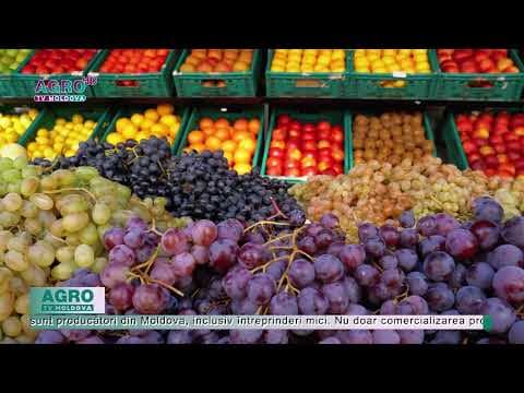 Digitalizarea proceselor de producere – viitorul sectorului pomicol