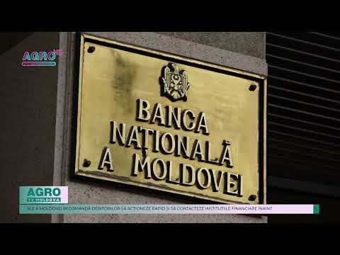 Criza financiară: Ce soluții urgente există pentru a face față datoriilor la credit