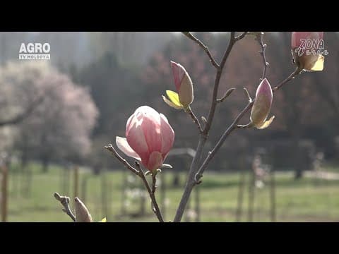 Zona Verde - Observatorul Astronomic și Planetariul din Chișinău
