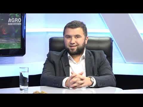 Actualitatea LA RAPORT – Cine profită de pe urma afacerilor cu nuci?