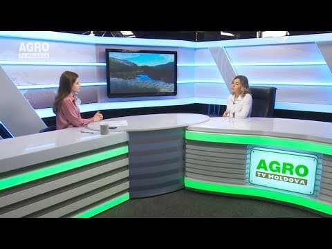 Actualitatea LA RAPORT – De ce ne îmbolnăvim? Ce este psihosomatica?