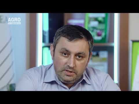 Energia renovabilă, o soluţie pentru adaptarea la schimbările climatice?