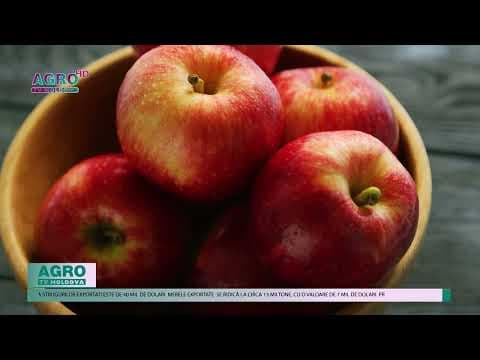Agricultura moldovenească: Recorduri de export în UE