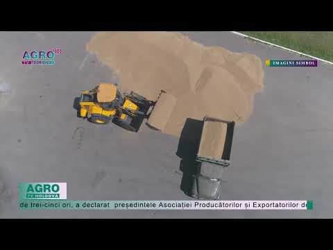 Din cauza războiului, agricultorii exportă cereale la prețuri mici