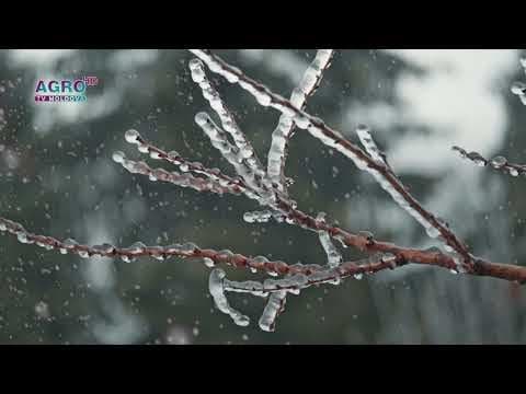 Vreme rece și temperaturi scăzute în Moldova