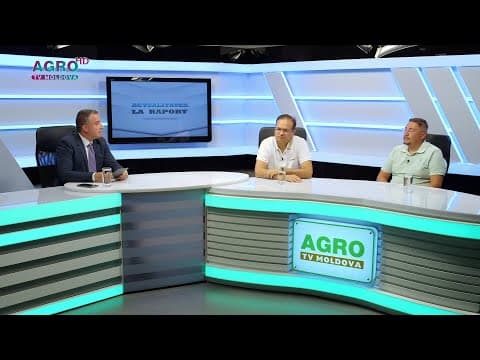Transportatorii auto, nemulțumiți de situația din sector