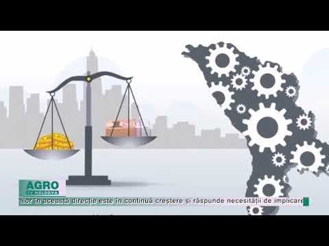 Educație financiară gratis!