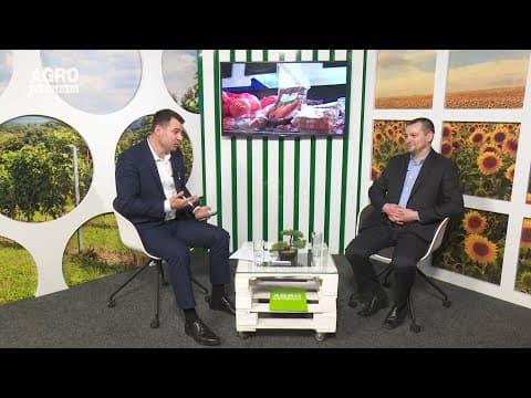 Verde-n ochi: Investim sau fugim din Moldova?