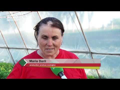 Baștina din 20.10.2019