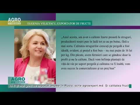 Pomicultorii ar trebui să-și revizuiască tehnica de activitate