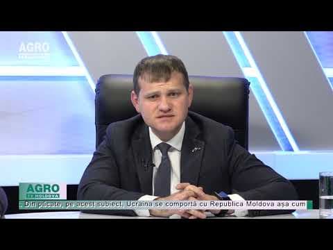 De peste 30 de ani, politicienii „se scaldă” în apele tulburi ale Nistrului