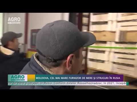 Moldova, cel mai mare furnizor de mere și struguri în Rusia