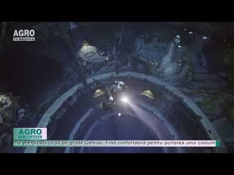 Cea mai adâncă piscină din lume / VIDEO
