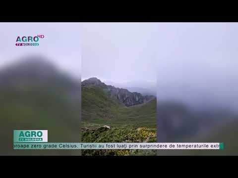Ninsori pe timp de caniculă în România