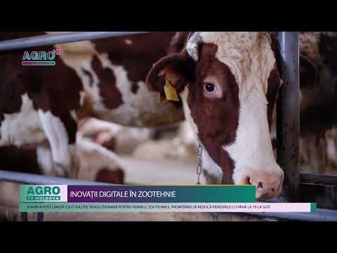 Sistemul UNIFORM AGRI: O inovație digitală pentru reducerea pierderilor în fermele zootehnice