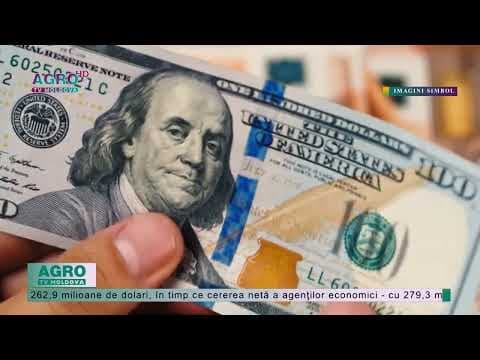 Oferta de valută a acoperit în noiembrie numai jumătate din cerere