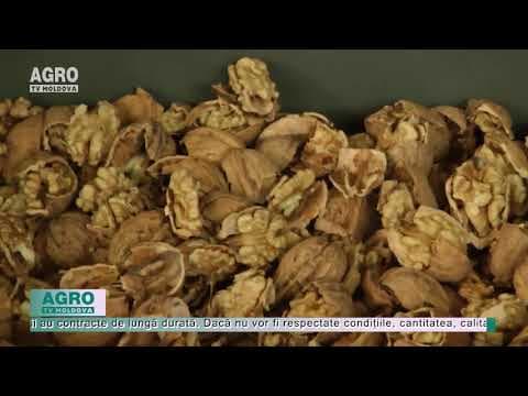 Calitatea nucilor taie din exporturi