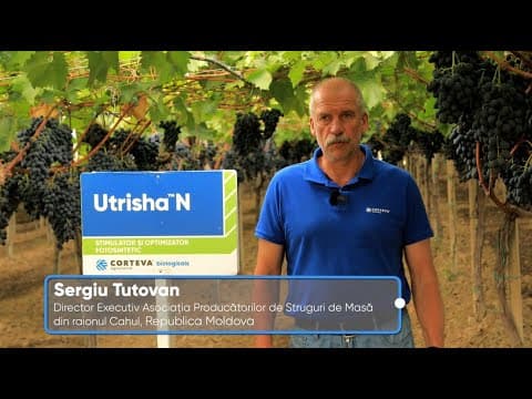 Sergiu TUTOVAN, Director Executiv Asociația Producătorilor de Struguri de Masă din Raionul Cahul
