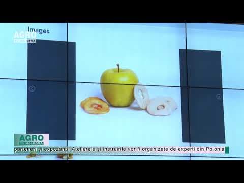 Oportunitate pentru antreprenorii din sectorul horticol