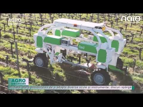 VIDEO/AgriTech: Ted – un robot destinat lucrărilor în vie