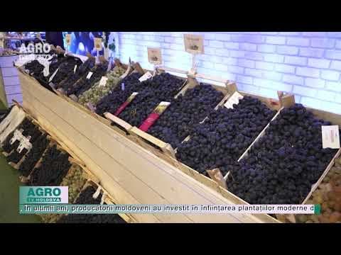 Moldova exportă mai mulți struguri de masă